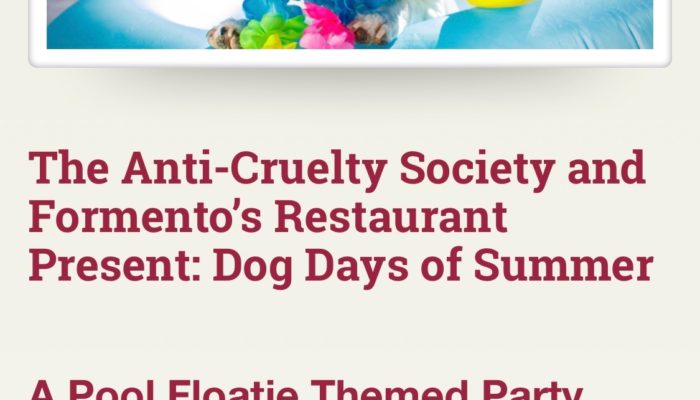 Event Alert! Dog Days of Summer – August 15th