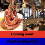 Red Fish Bleu Fish – Seafood Restaurant Coming Soon to Hyde Park!
