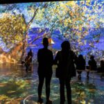 Immersive Monet & The Impressionists in Chicago